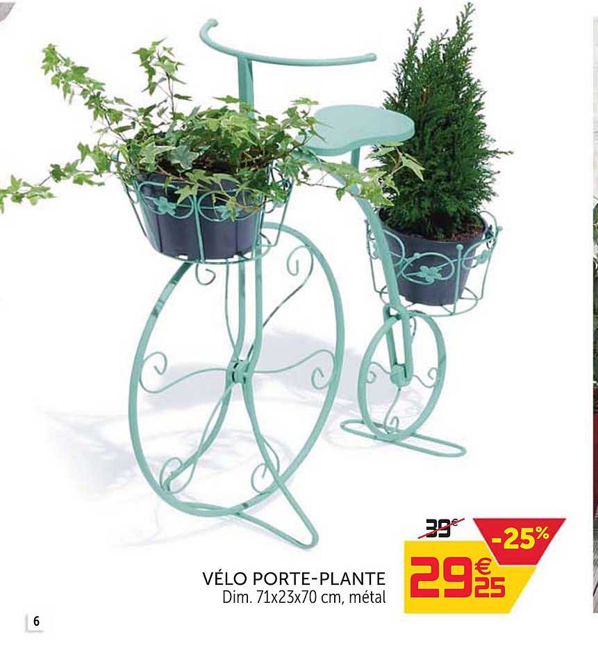 Vélo Porte Plante