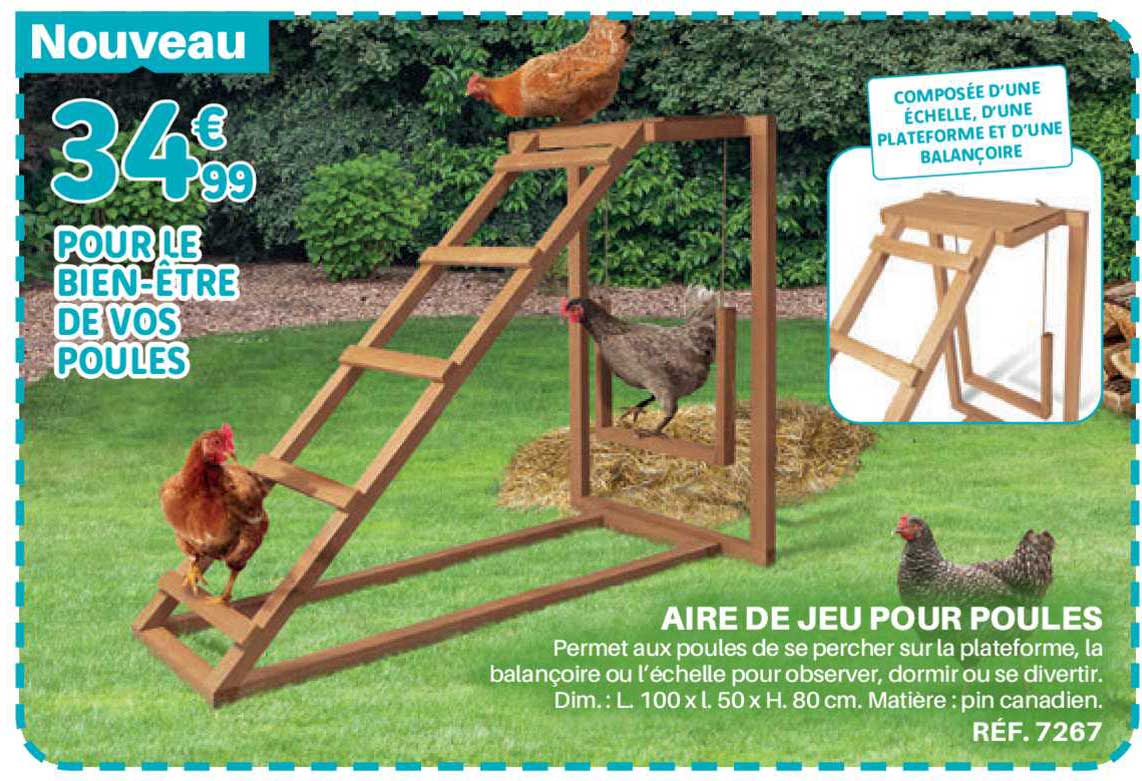 aire de jeu pour poules