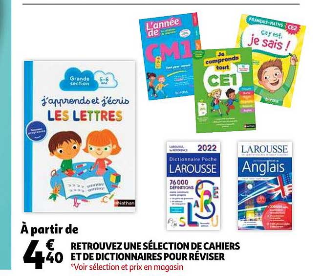 cahiers et dictionnaires pour réviser