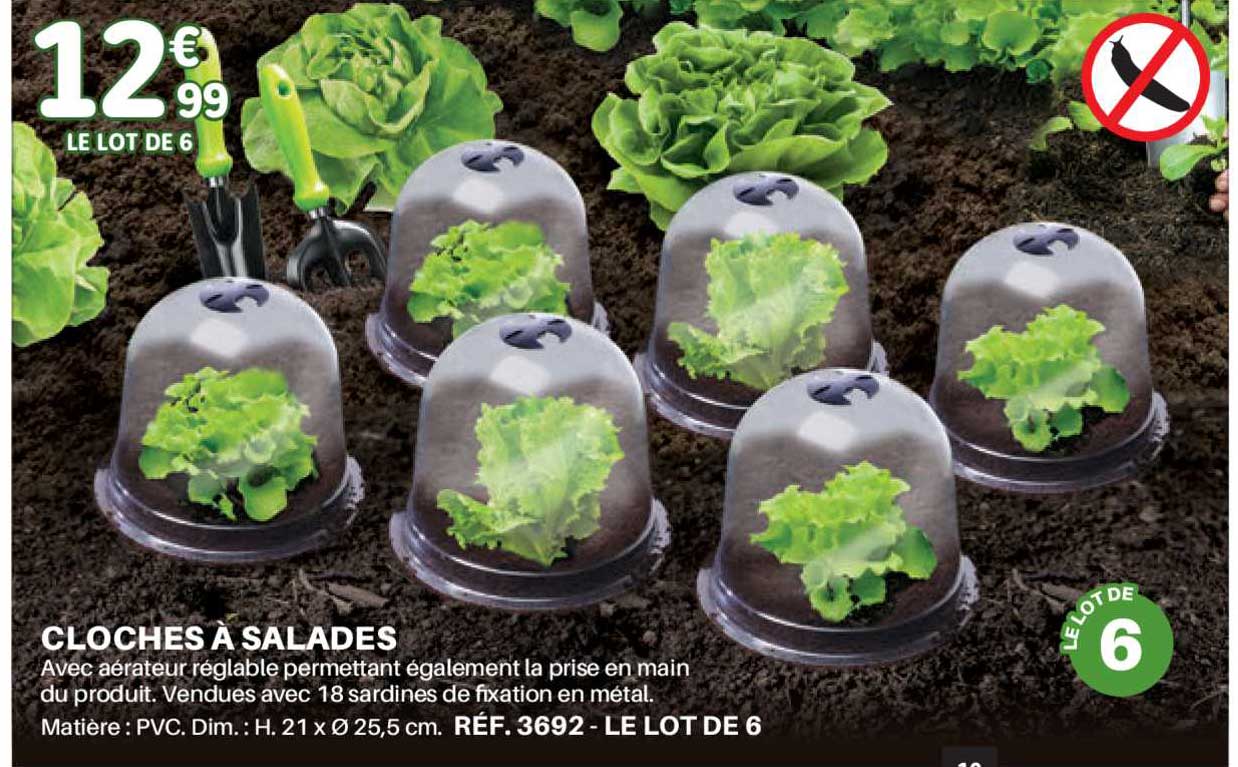 cloches à salades