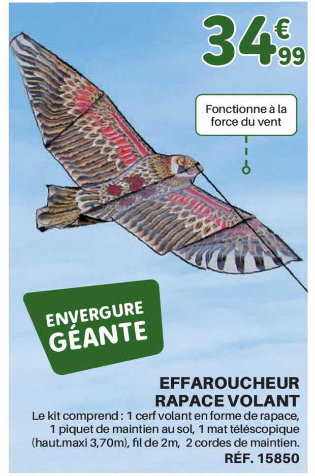 effaroucheur rapace volant