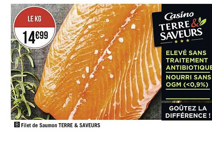Filet De Saumon Terre & Saveurs