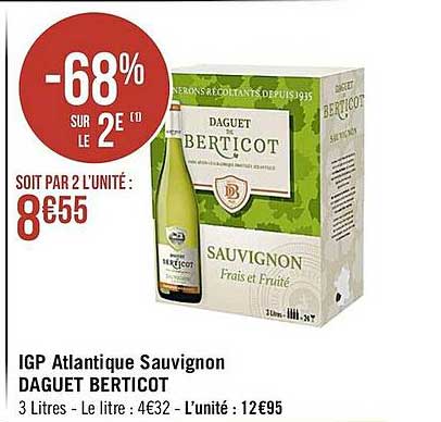 igp atlantique sauvignon daguet berticot