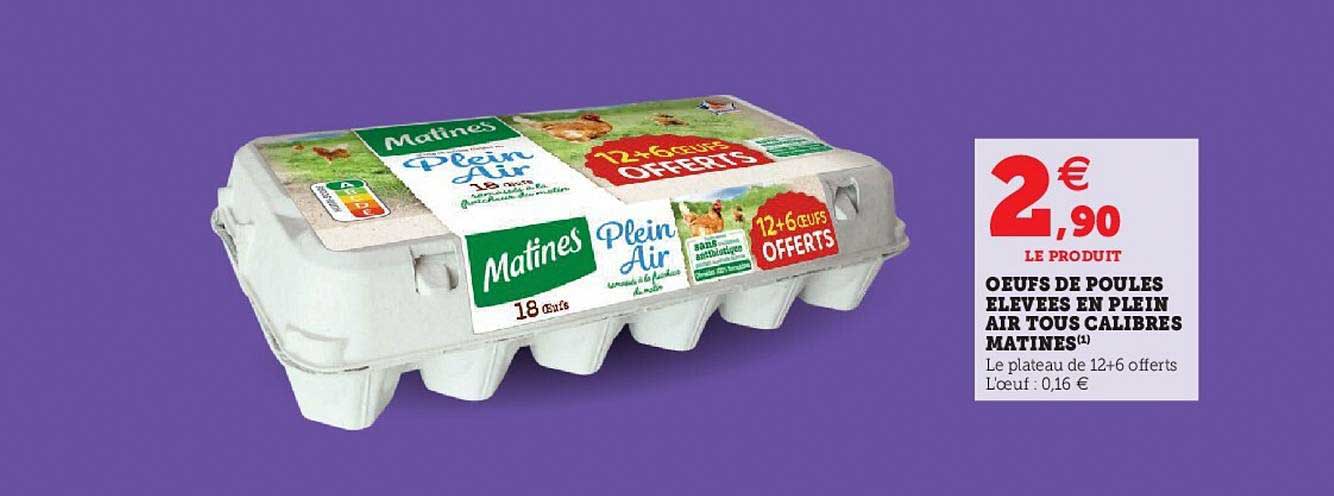 oeufs de poules élevées en plein air tous calibres marines