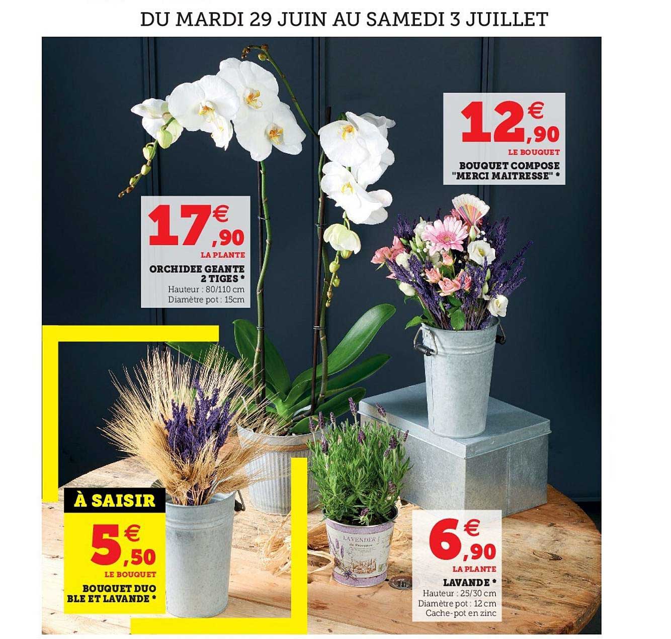 Orchidée Géante 2 Tiges, Bouquet Duo Blé Et Lavande, Bouquet Composé "merci Maîtresse", Lavande