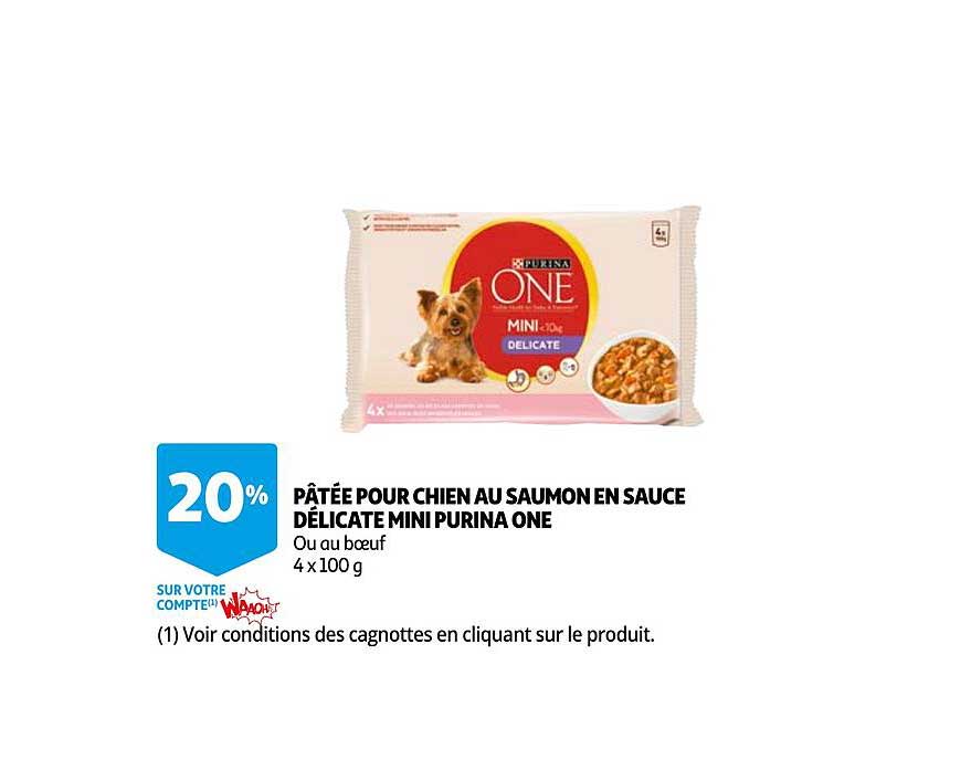 Pâtée Pour Chien Au Saumon En Sauce Délicate Mini Purina One
