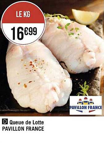 queue de lotte pavillon france