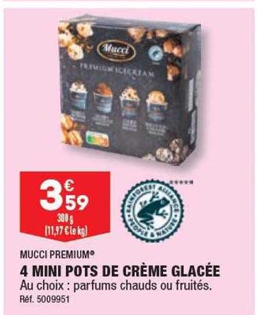 4 mini pots de crème glacée mucci premium
