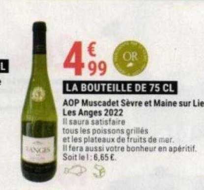 aop muscadet sèvre et maine sur lie les anges 2022