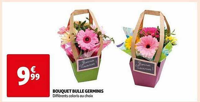 bouquet bulle germinis