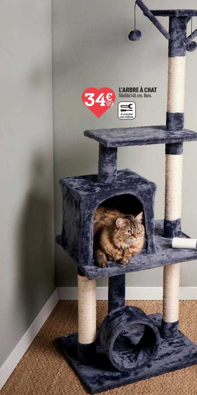 l'arbre à chat
