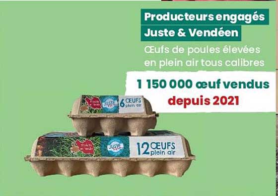 œufs de poules élevées en plein air tous calibres