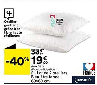 lot de 2 oreillers bien-être ferme 60x60 cm dreaméa
