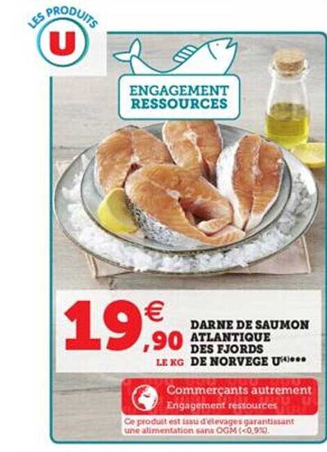 Darne De Saumon Atlantique Des Fjords De Norvege U