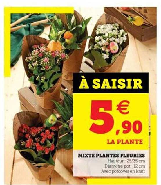 Mixte Plantes Fleuries