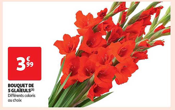 Bouquet De 5 Glaïeuls