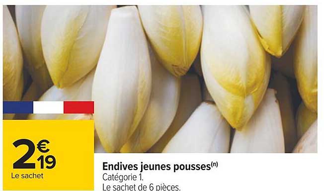 Endives Jeunes Pousses