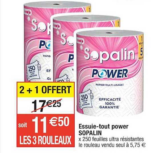 essuie-tout power sopalin