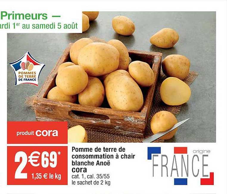 Pomme De Terre De Consommation à Chair Blanche Anoë Cora