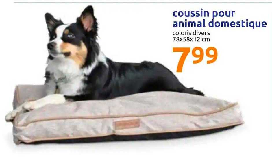 coussin pour animal domestique