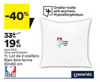 lot de 2 oreillers bien-être ferme 60x60 cm dreaméa