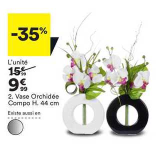 vase orchidée compo h. 44 cm