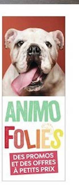 animo folies