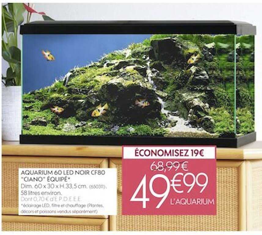 Aquarium 60 Led Noir Cf80 "ciano" équipé
