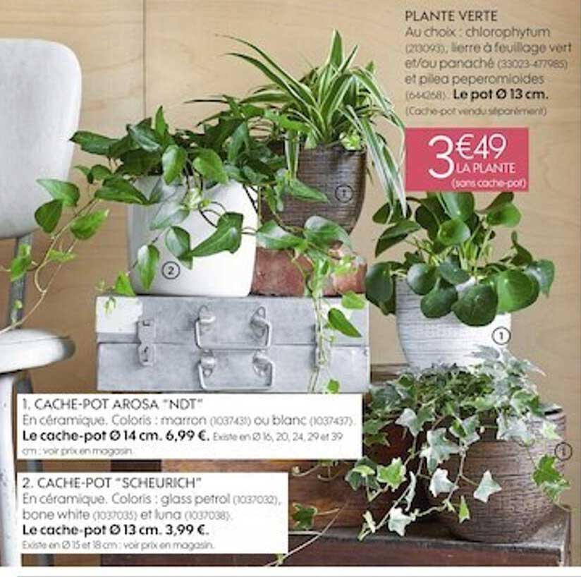 cache-pot arosa "ndt", cache-pot "scheurich", plate verte