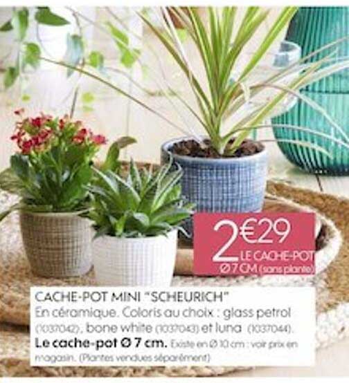 cache-pot mini "scheurich"
