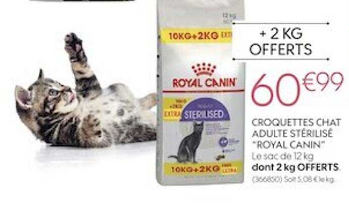 croquettes chat adulte stérilisé "royal canin"