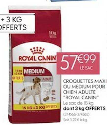 croquettes maxi ou medium pour chien adulte "royal canin"