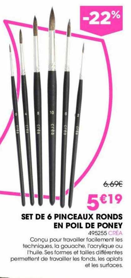 set de 6 pinceaux ronds en poil de poney