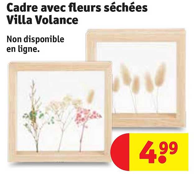 Cadre Avec Fleurs Séchées Villa Volance