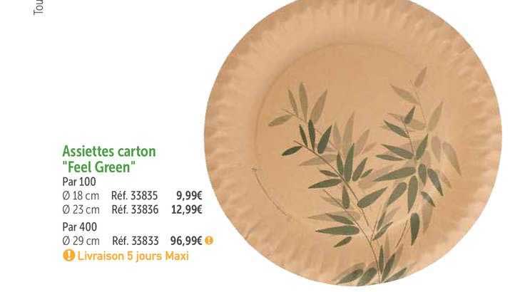 assiettes carton "feel green"