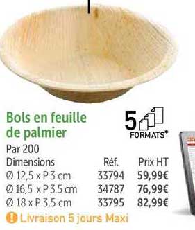 Bols En Feuille De Palmier