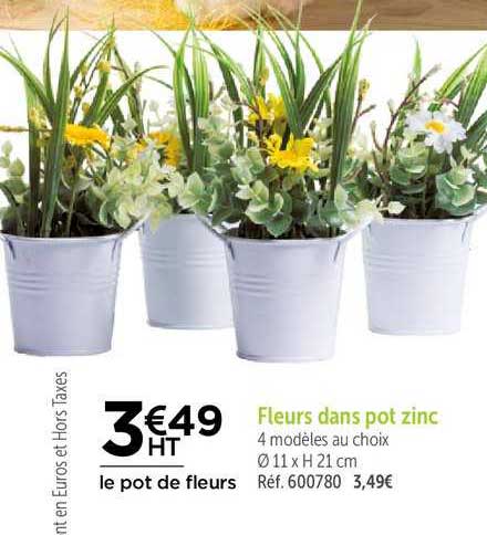 Fleurs Dans Pot Zinc