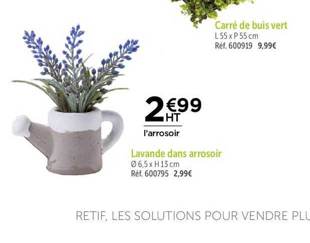 lavande dans arrosoir