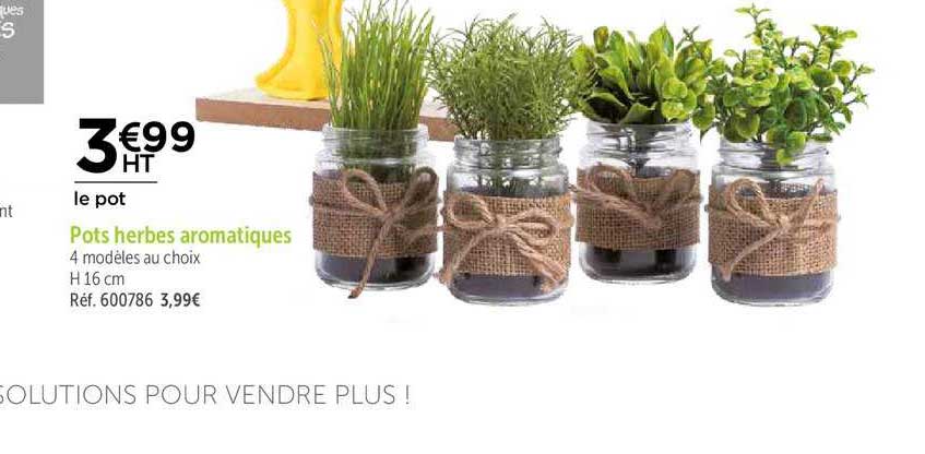 pots herbes aromatiques