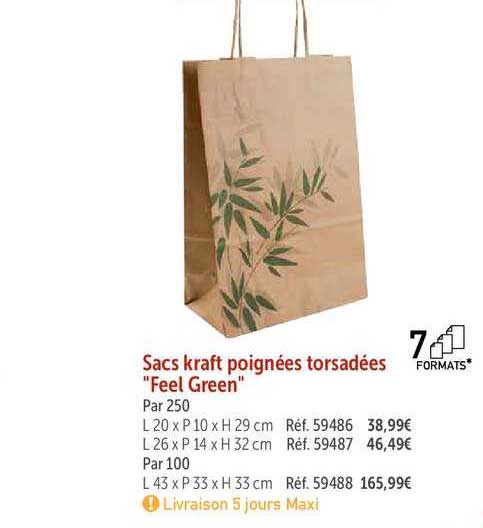sacs kraft poignées torsadées "feel green"