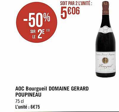 aoc borgueil domaine gerard poupineau