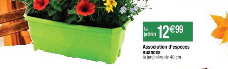 association d'espèces nuances