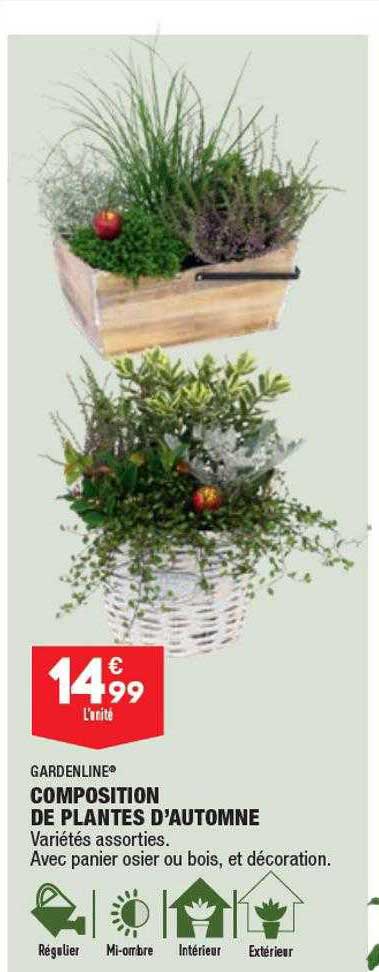 composition de plantes d'automne gardenline