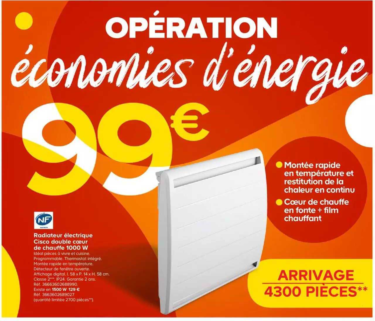 radiateur électrique cisco double cœur de chauffe 1000w