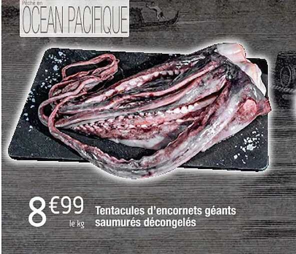 Tentacules D'encornets Géants Saumurés Décongelés