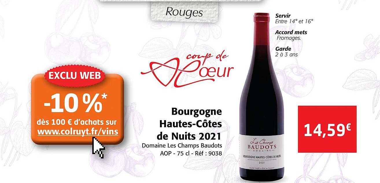 bourgogne hautes-côtes de nuits 2021 domaine les champs baudots aop