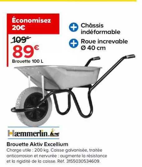 brouette 100l aktiv excellium haemmerlin