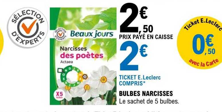 Bulbes Narcisses Beaux Jours