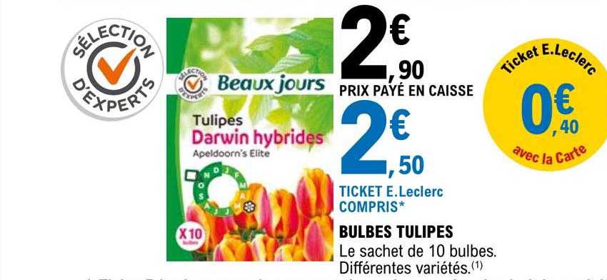 bulbes tulipes beaux jours