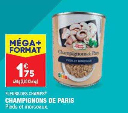 champignons de paris fleurs des champs
